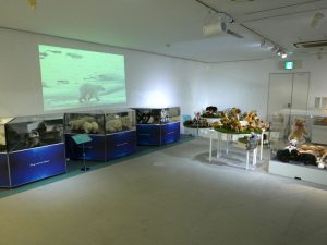 シュタイフ アニマルワールド展（横浜人形の家）会場の様子