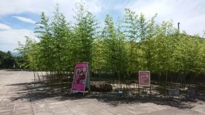 リカちゃん展 in 山梨外観