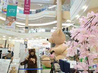 シュタイフ テディベアinイオン会場の様子
